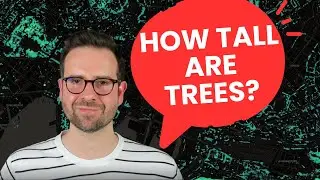 Create stunning tree height maps with Meta & World Resources Institute Data
