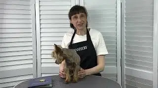 С таким удовольствием я еще не училась!