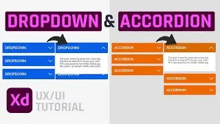Dropdown e Accordion con Adobe Xd