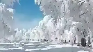Ғариби 17-12-2018(23)