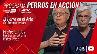 “Perros en acción”  Programa Nº 500