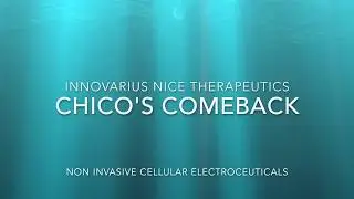 Chico's Comeback Innovarius NICE Therapeutics™