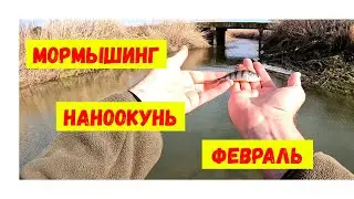 Мормышинг.  Наноокунь в феврале.
