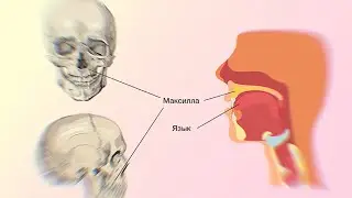 MEWING? / МЬЮИНГ?