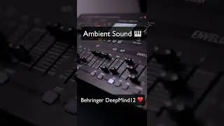 Ambient Sound with Behringer DeepMind12 