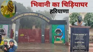 Zoo Bhiwani ||भिवानी शहर का चिड़ियाघर 🦍सम्पूर्ण चिड़ियाघर देखिए 😊जानवर है या नहीं 😏#haryana