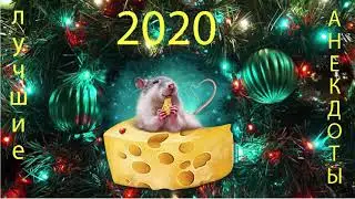анекдоты 2020 года, выпуск 3