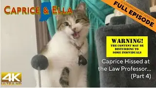 Caprice Hisses at the Law Professor... (Part 4) | Caprice & Ella 810 (clean)