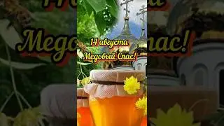 С Медовым Спасом! 🐝#праздник#мед#медовыйспас#shorts