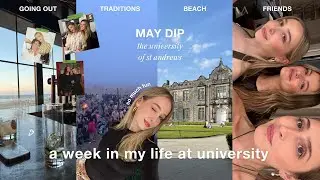may dip at the university of st andrews | traditions & friends