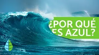 Por qué el MAR es AZUL 🌅 (CURIOSIDADES sobre el MAR)
