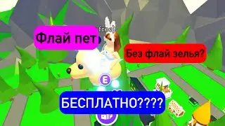 How to make a fly pet without a fly potion in Adopt Me 😜