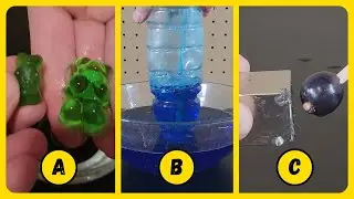 Does water make gummy bears grow? (2 Truths & Trash)