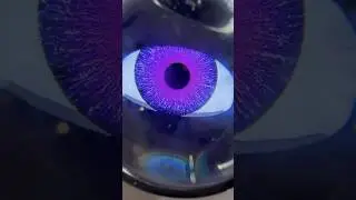 Смотрит на тебя! 😃😎
