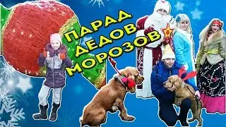 Парад Дедов Морозов и Снегурочек Как это было в Лиде