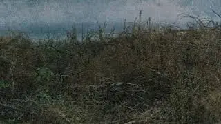 Nortas - Miglos
