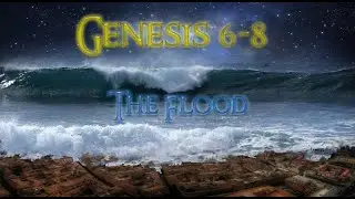 Ancient Wisdom for Today's Problems: Non Nonsense Bible Basics Genesis 6-8