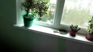 Истребитель перед окном г.Миасс (2011) | Fighter in window (2011)