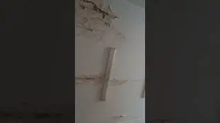 поликлиника номер 2