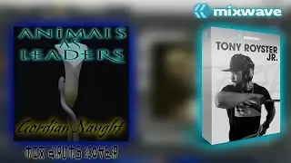 ANIMALS AS LEADERS - Gordian Naught (Mix Drums Cover)