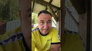 Витамин D