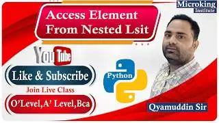 Access Element from Nested List