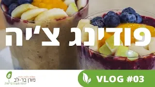 פודינג צ'יה - ללא סוכר, ללא גלוטן ועשיר באומגה 3
