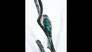 Flutter Models, Reusable Widgets & Navigation/Routing