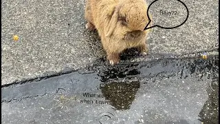 What we do when it rains!! 🌧️ ☔️