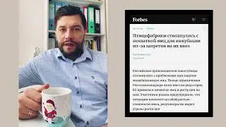 Дефицит инкубационных яиц в России
