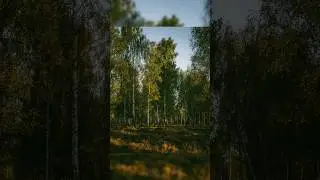 Der Spot Vs das Bild
