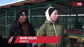 Во Владикавказе официально открылся питомник для бездомных животных