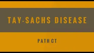 Tay Sachs Disease