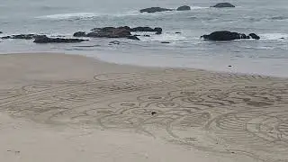 Somebody was busy at the coast.