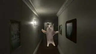 Кот шнапи флексит в страшных местах👹