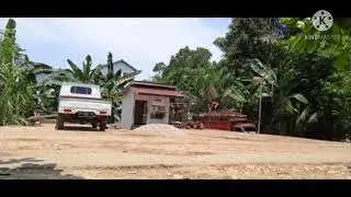 Suasana lodingan sawit gunung baru penajam paser utara