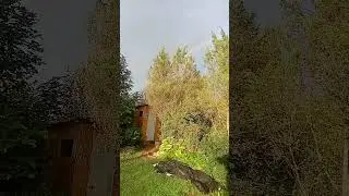 1 августа идёт мелкий дождь