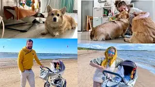 НАКОНЕЦ Я ЭТО СДЕЛАЛА! Таффи не отходит от Вани 🥹 все внуки на месте ☀️На пляж |VLOG