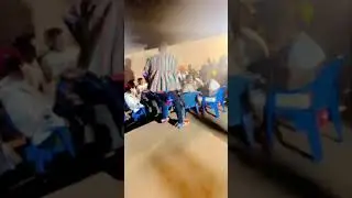 S BIO magic performance