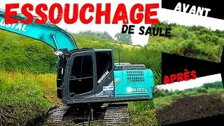essouchage de saules dans une roselière.. kobelco sk 180 stellwrist x20 #akasobrave7le