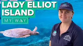 Lady Elliot Island Eco Resort | My Way