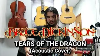 Vi Martins - Tears Of The Dragon (Bruce Dickinson) Acoustic Cover