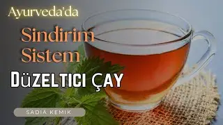 Hindistan Ve Ayurveda | Ayurvedik Çay Nasıl Sindirim Sistemi Düzletirir ?  #sadiakemikmeditasyon