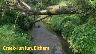 Creek-run fun, Eltham (drone)