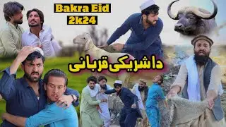 Da Shariki Qurbani | Bakra Eid Comedy Video 2024 | Ib Khan Vines