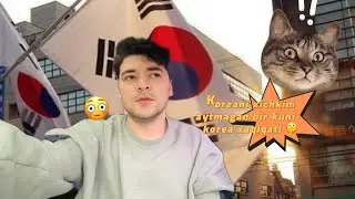 Koreadagi kunlik ishlarda 🤑120$ topsa boladimi?🤔