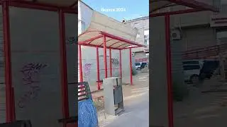 остановка с приветом