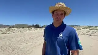 Creek Days 2021 - Restoration Projects
