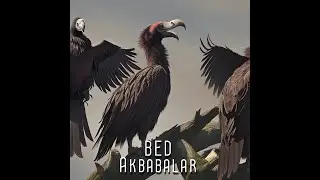 BED - Akbabalar (Lyrics Video)