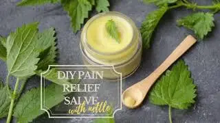 DIY pain relief salve with nettle
